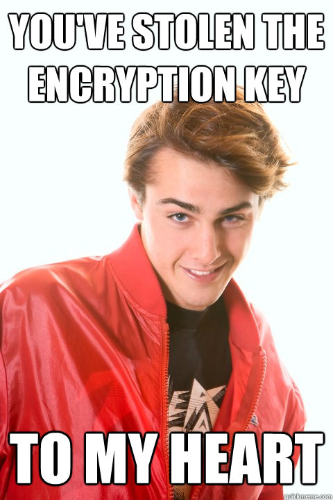 You've stolen the encryption key to my heart - Flirtatious Geek - quickmeme