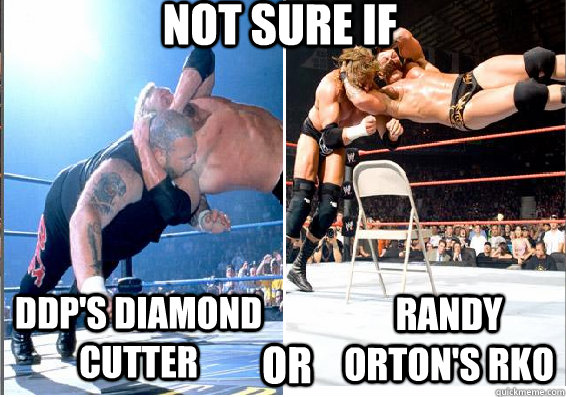 not sure if DDP'S diamond cutter or Randy orton's rko - rko ddp wwe  similairity - quickmeme