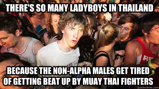 Thai ladyboy meme