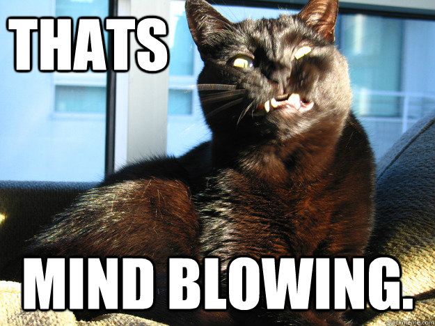 THATS MIND BLOWING. - Mind Blown Cat - quickmeme