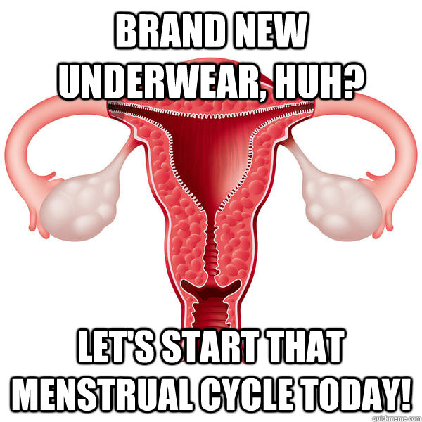 Brand new underwear, huh? Let's start that menstrual cycle today! - Scumbag  Uterus - quickmeme