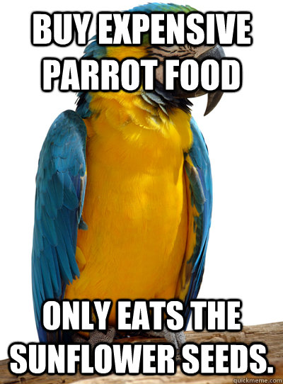 Buy expensive parrot food only eats the sunflower seeds. - Scumbag Pet  Parrot - quickmeme