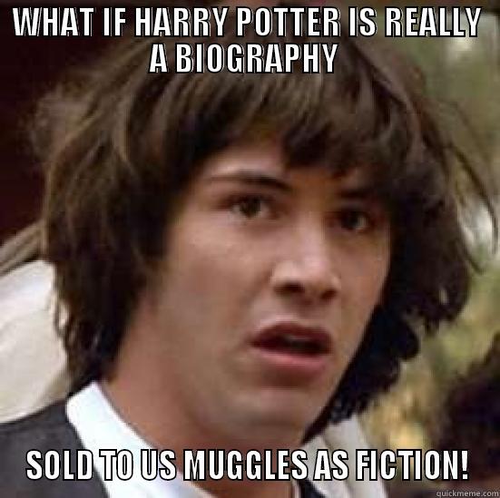 What If Harry Potter Is Real Quickmeme