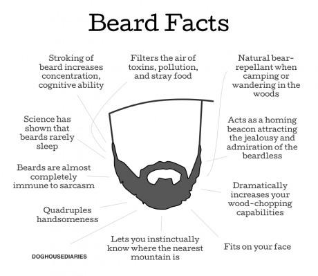 Some fun facts for those of us who are bearded. Happy No Shave November  Everyone! - quickmeme