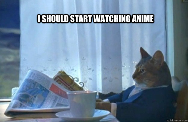 I should start watching anime - Sophisticated Cat - quickmeme