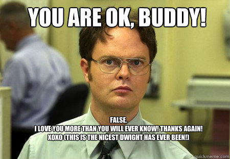 You are ok, BUDDY! FALSE. I love you more than you will ever know! Thanks  again! xoxo (This is the nicest Dwight has ever been!) - Schrute - quickmeme