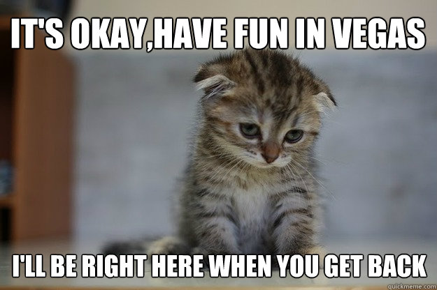 It's okay,have fun in Vegas I'll be right here when you get back - Sad  Kitten - quickmeme