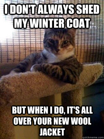 i don't always shed my winter coat but when I do, it's all over your new  wool jacket - The Most Interesting Cat in the World - quickmeme