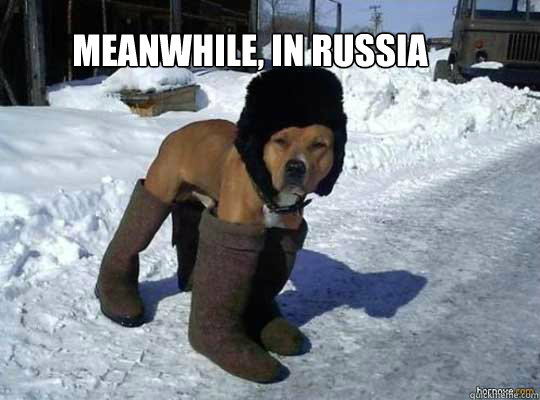 Meanwhile, in russia - russian dog - quickmeme