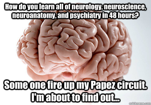 How do you learn all of neurology, neuroscience, neuroanatomy, and  psychiatry in 48 hours? Some one fire up my Papez circuit. I'm about to  find out... - Scumbag Brain - quickmeme