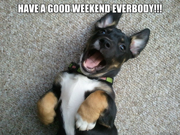 Have a good weekend everbody!!! - Happy Puppy - quickmeme
