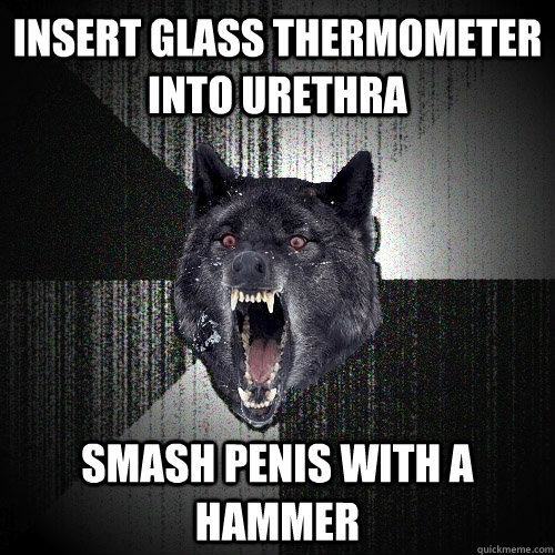 schuif Het formulier Vorming Insert glass thermometer into urethra Smash penis with a hammer - Insanity  Wolf - quickmeme