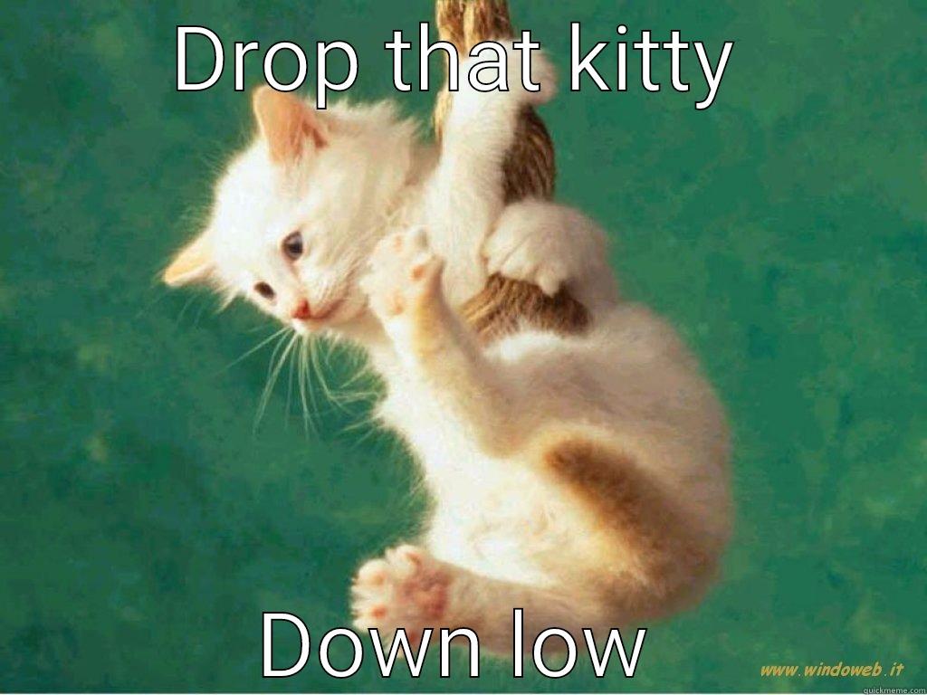 Pop that kitty down low