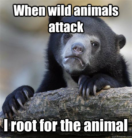 When wild animals attack I root for the animal - Confession Bear - quickmeme