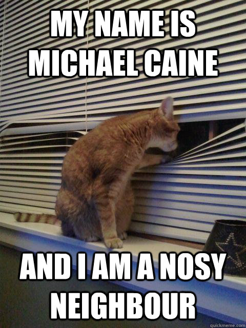 My name is michael caine and i am a nosy neighbour - Peeping Tomcat -  quickmeme
