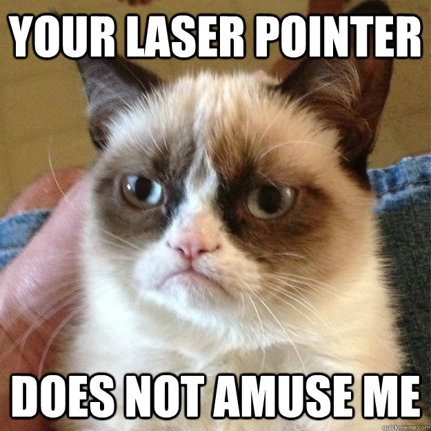 your laser pointer does not amuse me - Misc - quickmeme