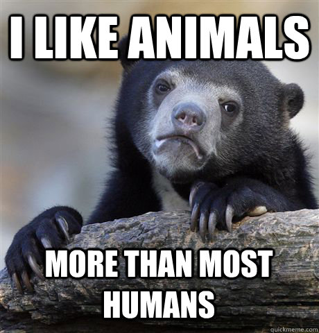I like animals more than most humans - Confession Bear - quickmeme