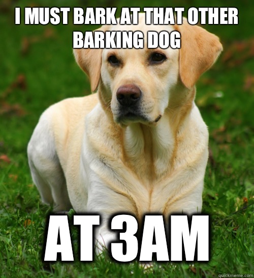 Featured image of post Going Bark Meme A way of describing cultural information being shared